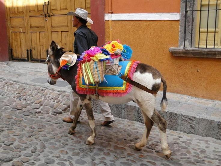 Casa Grande Luxury Boutique Hotel San Miguel de Allende Luaran gambar